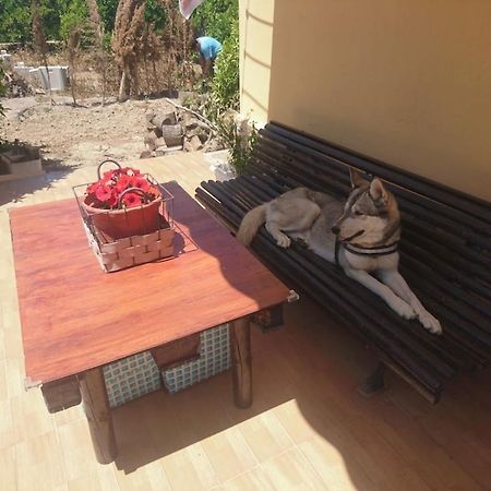 Casita Entre Naranjas Villa Formentera del Segura Ngoại thất bức ảnh