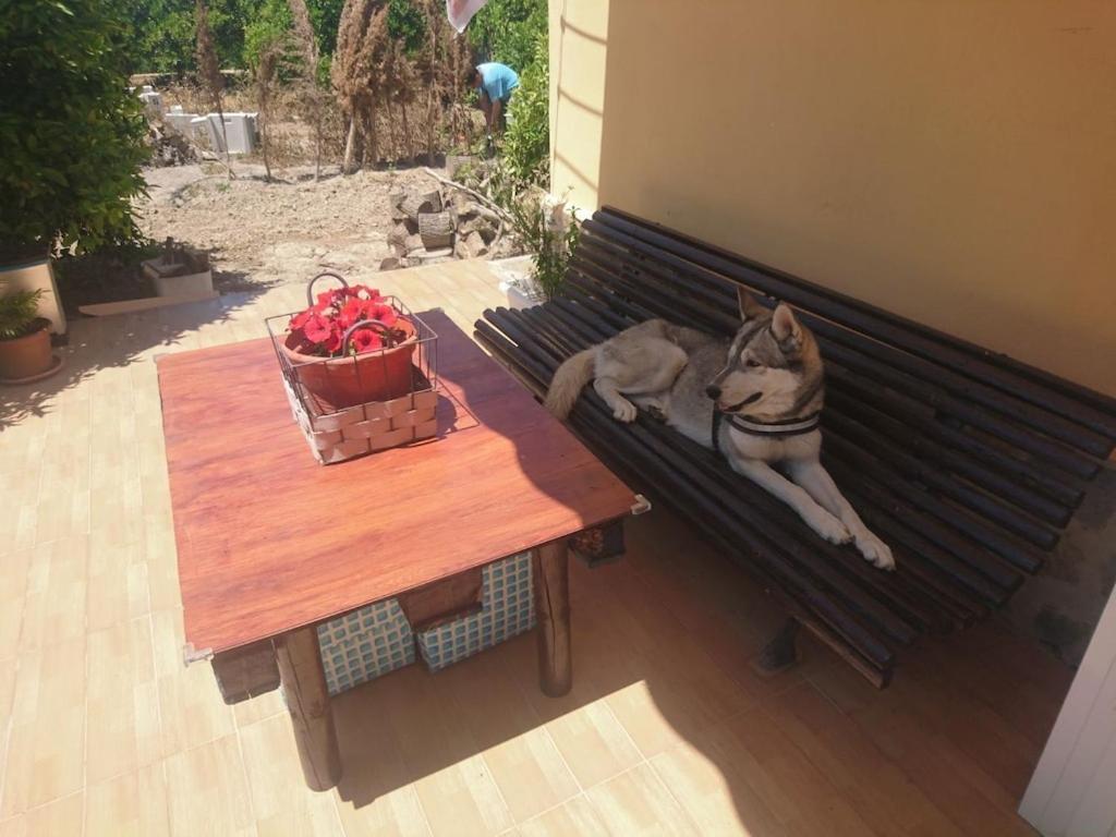 Casita Entre Naranjas Villa Formentera del Segura Ngoại thất bức ảnh
